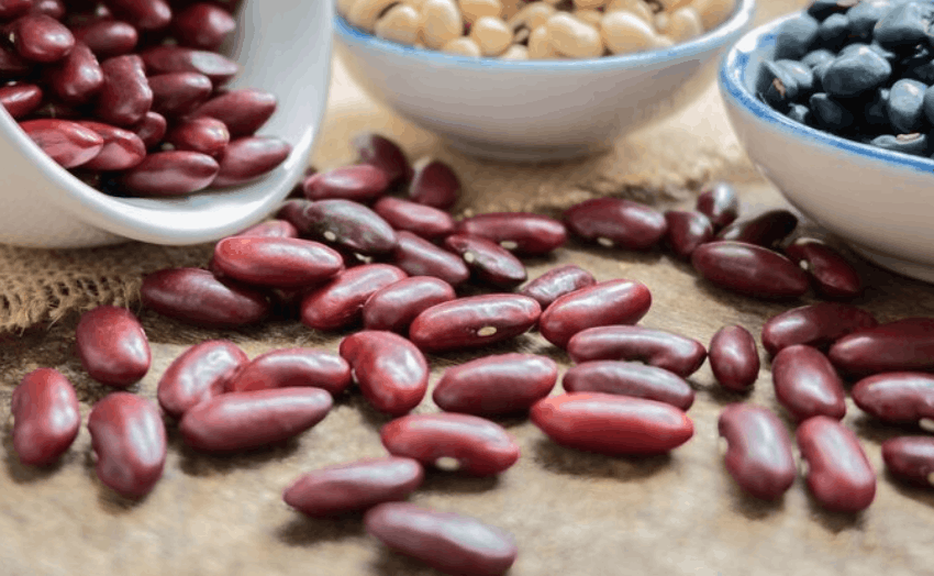 bruinen bonen gezond