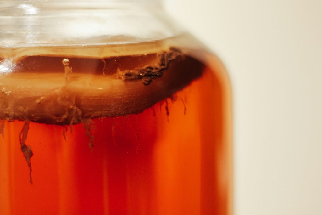 Close-up van kombucha fermentatie met zichtbare SCOBY in glazen pot
